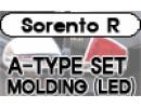 Molding Set A-type (LED) [CML04401]