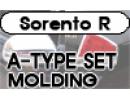 Molding Set A-type [CM04401]